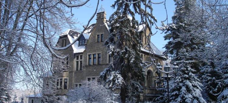 斯特克兰伯格城堡酒店(Schlosshotel Stecklenberg)图片