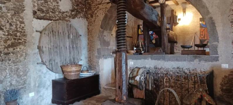 塔纳切托酒店(Il Tanaceto)图片