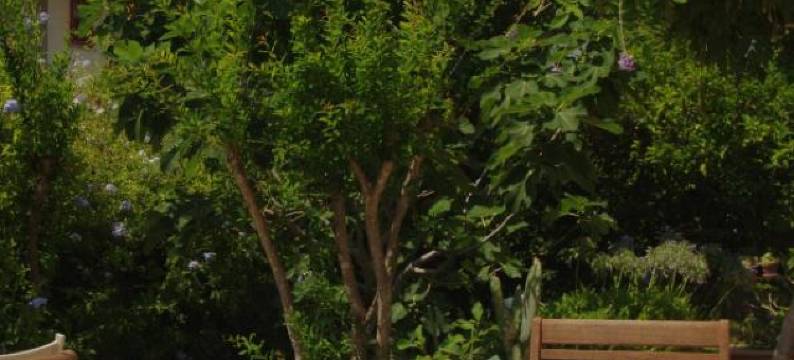 拉洛坎迪纳住宿加早餐旅馆(La Locandina)图片