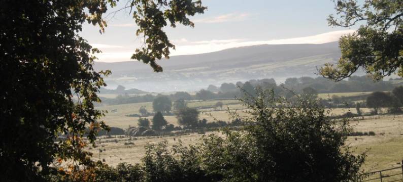 Ballyhargan Farm House图片