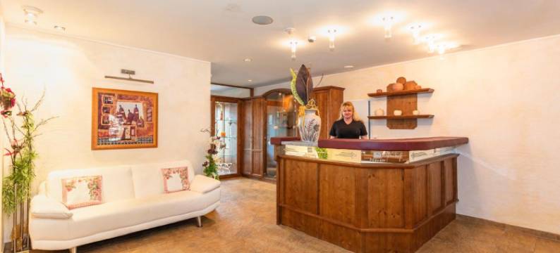 温格阿朋霍夫酒店(Apart Hotel Alpenhof Werfenweng)图片