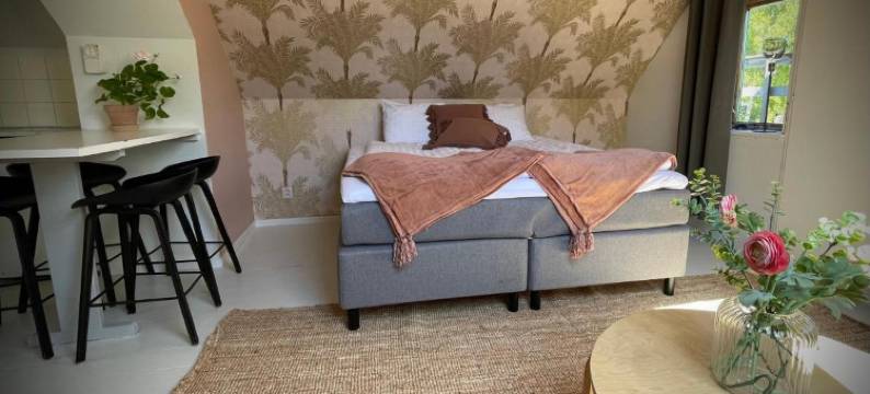 Gåsen Out B&B图片