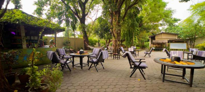 奇旺盖达旅馆(Chitwan Gaida Lodge - Animal Lovers & Birdwatchers Paradise)图片