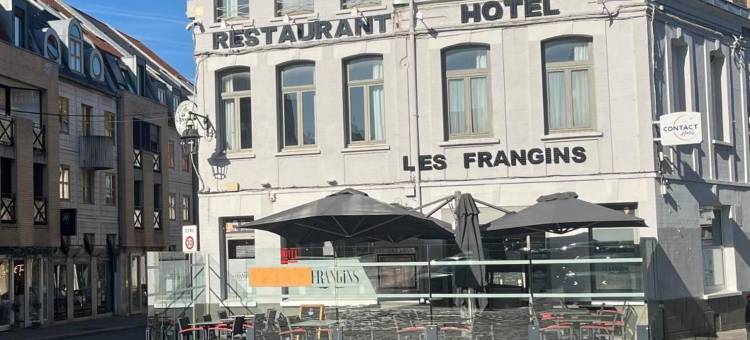 弗拉金斯酒店(Hôtel les Frangins)图片