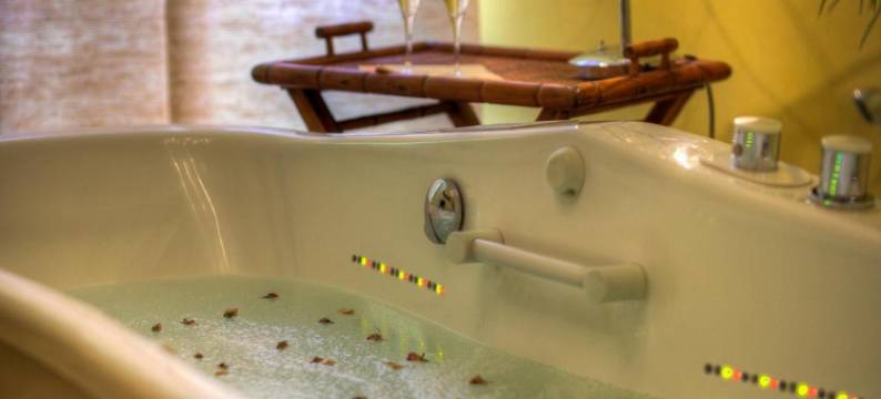 诺伊尔亨宁斯霍夫运动康体度假酒店(Sport- & Vital-Resort Neuer Hennings Hof)图片