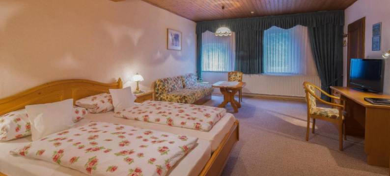 兰德加斯霍夫丽格旅馆(Landgasthof Rieger)图片