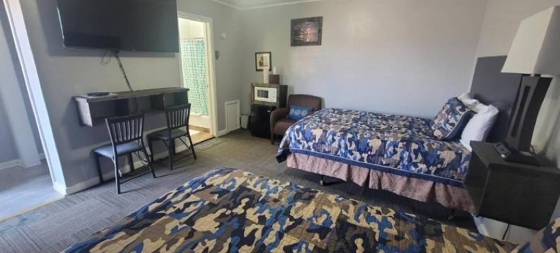 节庆城市汽车旅馆(Fiesta City Motel)图片