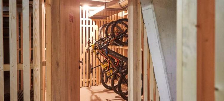 阿尔潘公园桑莱特公寓酒店(AlpenParks Hotel & Apartment Sonnleiten)图片