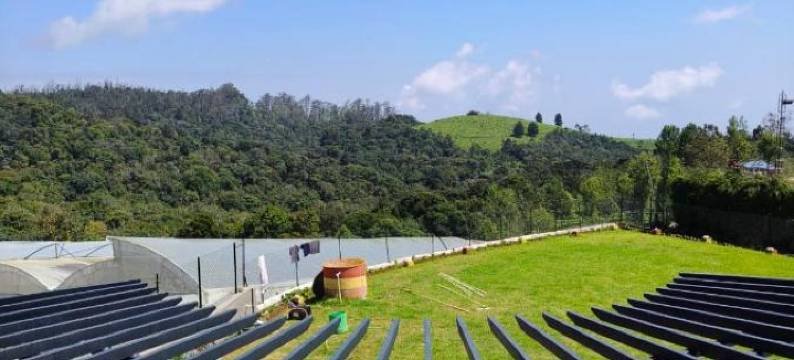 长木度假村(Longwood Resorts)图片