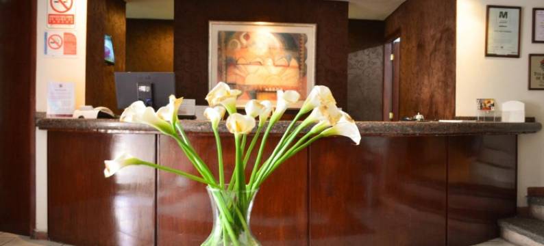 地中海酒店(Hotel Mediterraneo Sa de CV)图片