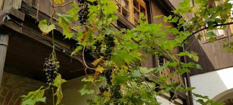 托斯卡纳酒店(Hotel Restaurant Toscana Naumburg)图片