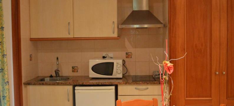 罗亚公寓酒店(Apartamentos Royal)图片