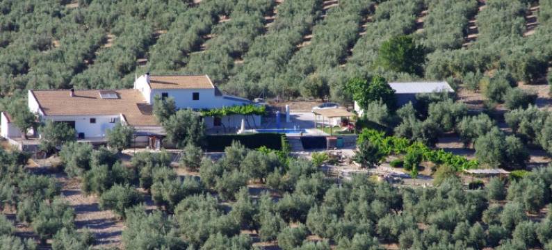 拉斯纳威拉斯MM民宿(B&B Lasnavillasmm)图片