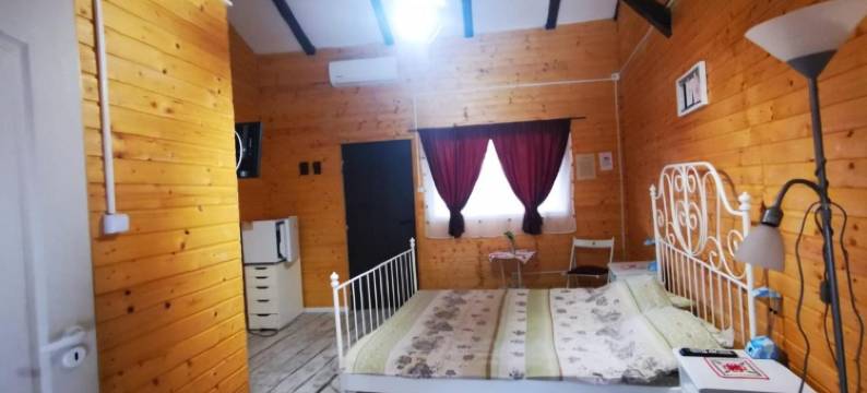 卡萨德奥赛鹏特杜瑞拉卡扎尼乡村民宿(Casa de Oaspeti Dunarea la Cazane)图片