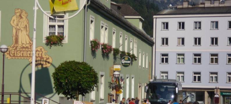 艾森诺色霍夫酒店(Eisenerzer Hof)图片