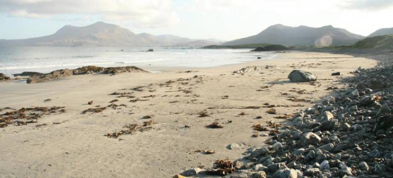 城堡屋住宿加早餐旅馆(Castlehouse B&B)图片