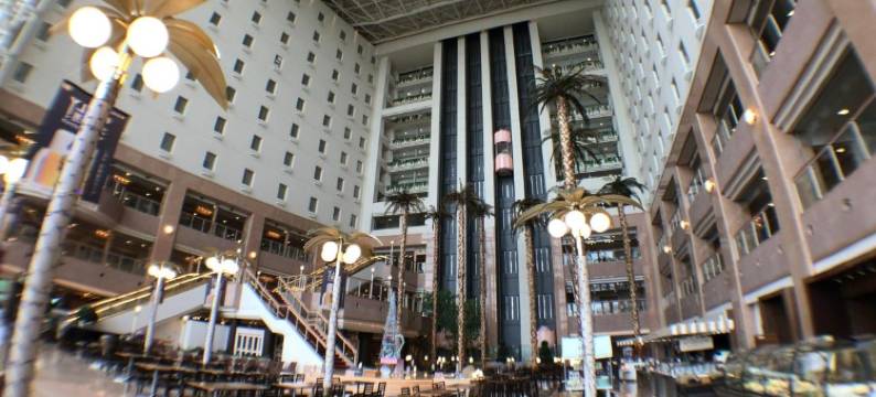 札幌朵蕾丝水疗度假酒店(Chateraise Gateaux Kingdom Sapporo Hotel & Spa Resort)图片