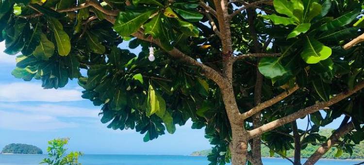 龙珠海滩度假村(Dragon Pearl Beach Resort)图片