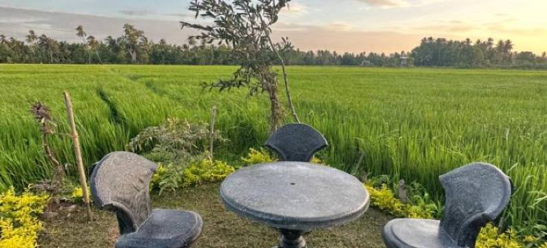 维威卡旅馆(Viveka Inn Guest and Yala Safari)图片