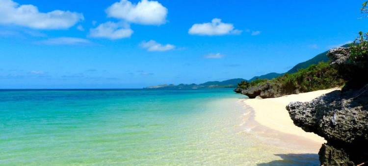 石垣民宿海夫(Ishigaki Guesthouse Hive)图片