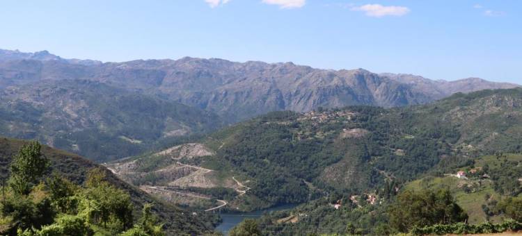 金塔达里巴玛(Quinta da Riba Má)图片