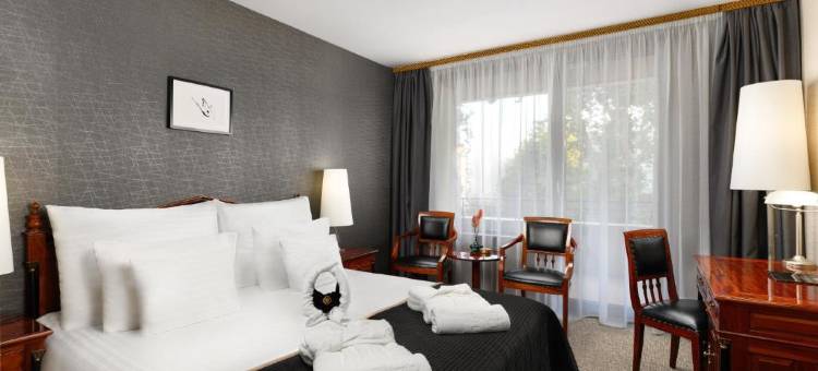 迪维努斯酒店(Hotel Divinus)图片