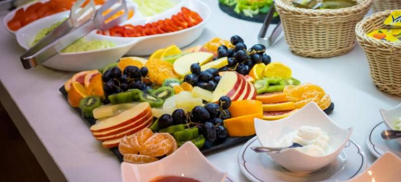 杜布罗夫尼克酒店(Hotel Dubrovnik)图片