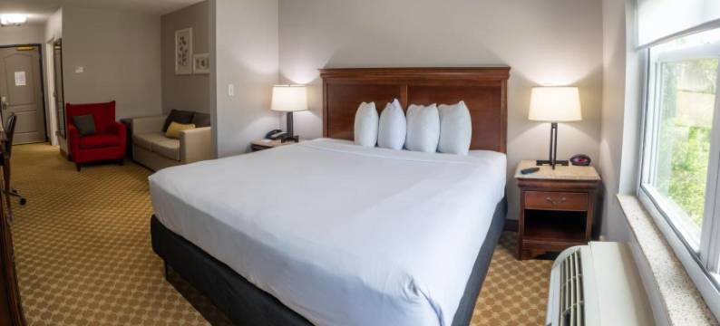 威尔明顿丽怡酒店(Country Inn & Suites by Radisson, Wilmington, NC)图片