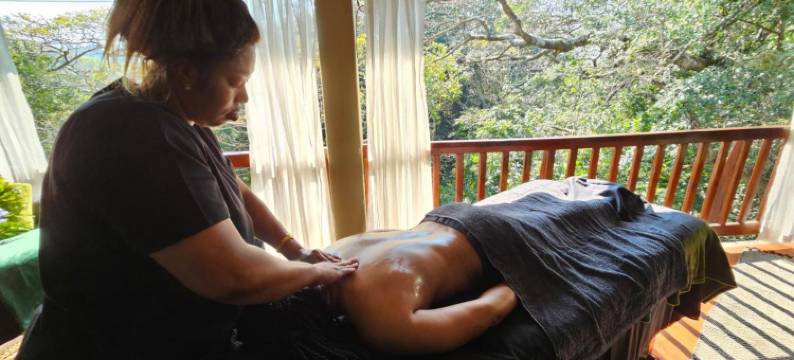 蜜森小屋旅馆(Honeywood Forest Lodge)图片