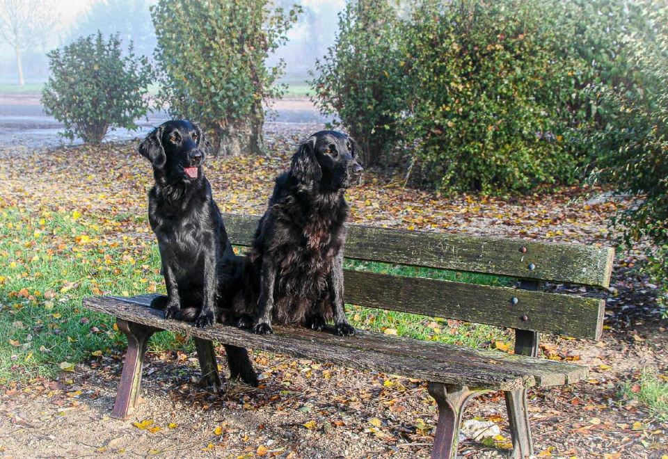 B&B Hotel in Ferme de Leuze Nabij Durbuy, Eigen Laadpalen Hotel Overview