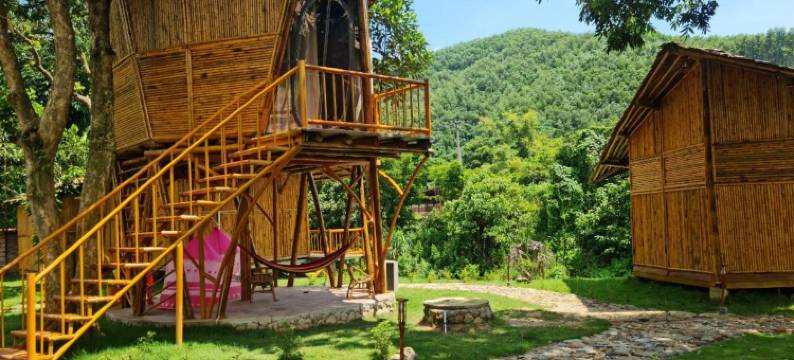 Little Bee House图片