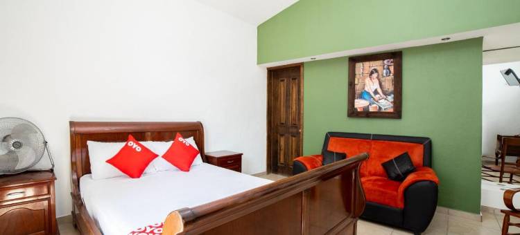 OYO圣米格尔别墅酒店(Hotel Villas de San Miguel Media Luna)图片