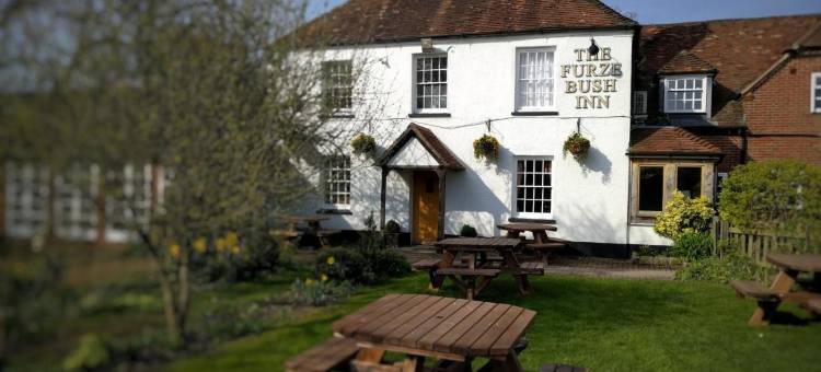 弗尔瑟灌木旅馆(The Furze Bush Inn)图片