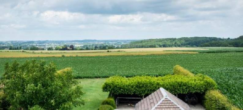 樱桃住宿加早餐旅馆(B&B la Cereza)图片