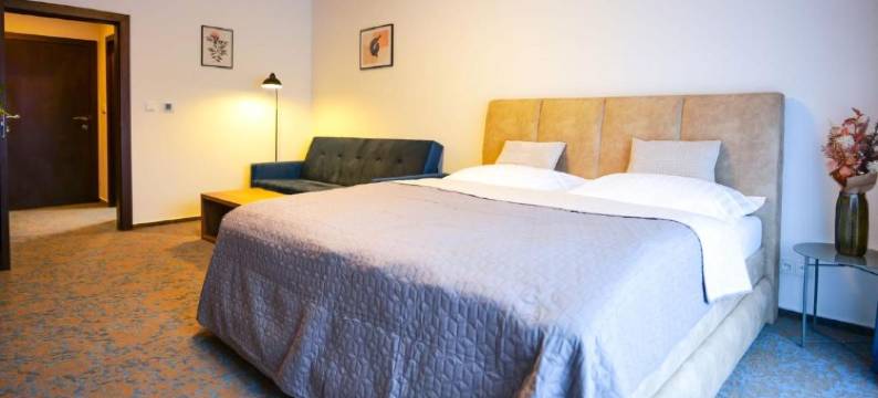 栗子下酒店及餐厅(Hotel & Restaurant Pod Kaštany)图片