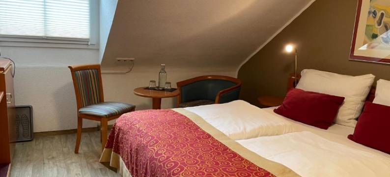 阿尔特蒙特约酒店(Hotel Alt Montjoie)图片