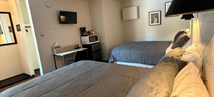 新村汽车旅馆(New Country Motel)图片