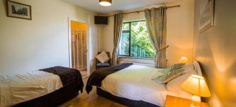 城堡景观住宿加早餐旅馆(Castle View House)图片