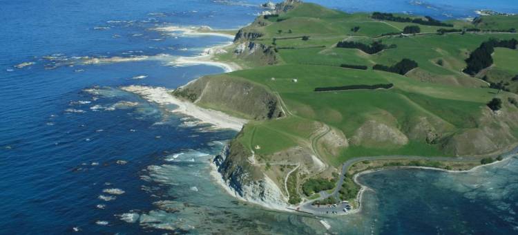 美景汽车旅馆-凯库拉(Bella Vista Motel Kaikoura)图片