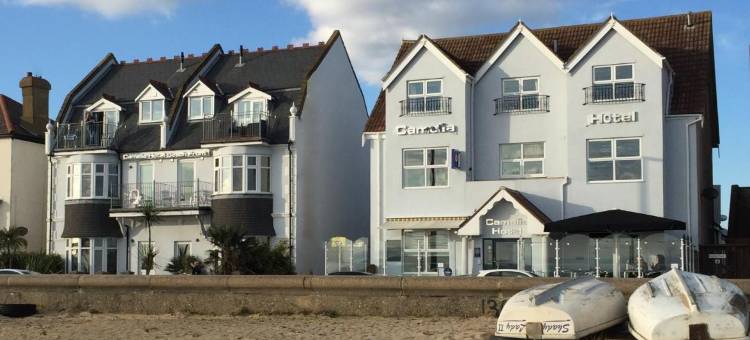 卡梅利娅酒店(Camelia Hotel)图片