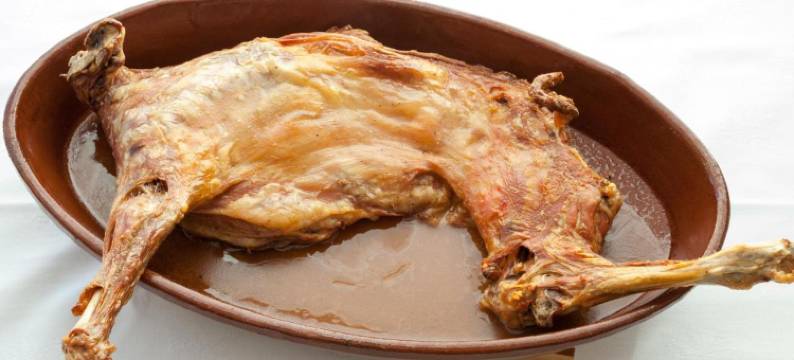 阿尔马桑别墅酒店(Hotel Villa de Almazan)图片