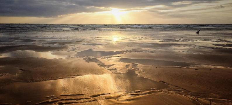 卡纳斯塔酒店(Canasta Hotel)图片