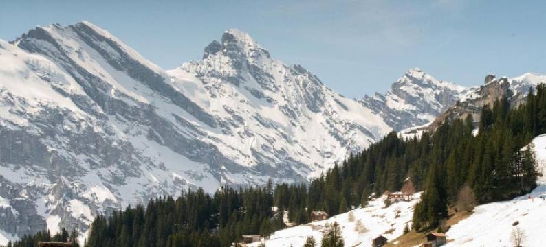 米伦运动小木屋酒店(Sportchalet Mürren)图片