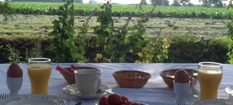 剧院伯格旅馆(Theaterherberg)图片