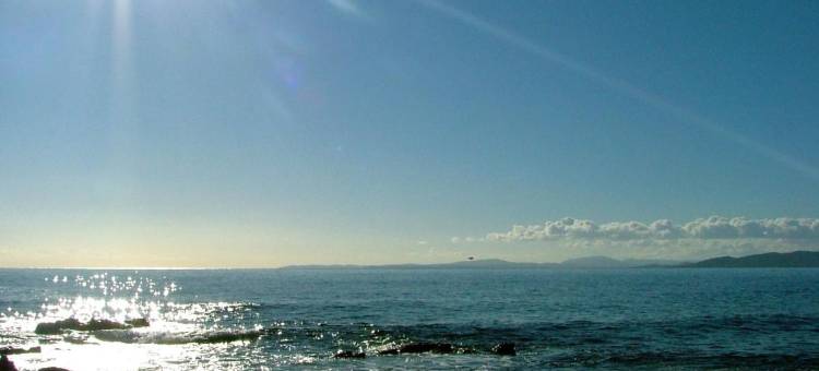 努维尔酒店(Nouvel Hotel)图片