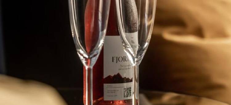 福特酒店(Fjordslottet Hotel)图片