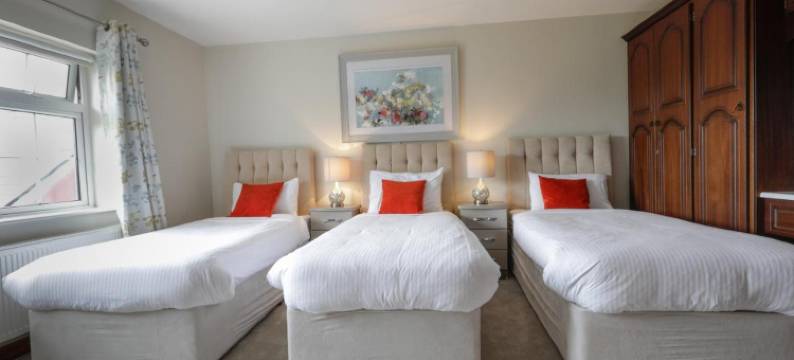 勒根之家民宿(Lurgan House)图片