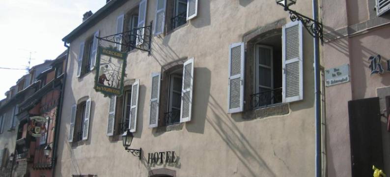 维涅摇篮酒店(Hôtel Berceau du Vigneron)图片