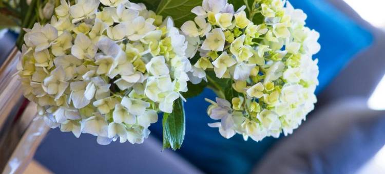 杜尔明海景维维耶洛公寓酒店(Duerming Sea View Viveiro)图片