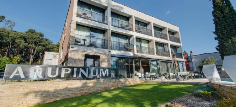 阿鲁宾努酒店(Hotel Arupinum)图片